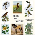 Birds and Nature, Vol. XI, No 5, May 1902