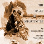 Maker of Opportunities