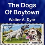 Dogs Of Boytown