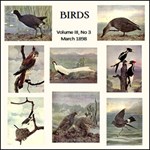 Birds, Vol. III, No 3, March 1898