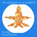 Epitaph On A Goldfish