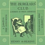 Burglars' Club: A Romance in Twelve Chronicles