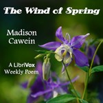 Wind Of Spring