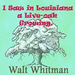I Saw in Louisiana a Live-Oak Growing