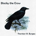 Blacky the Crow