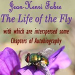 Life of the Fly, With Which are Interspersed Some Chapters of Autobiography